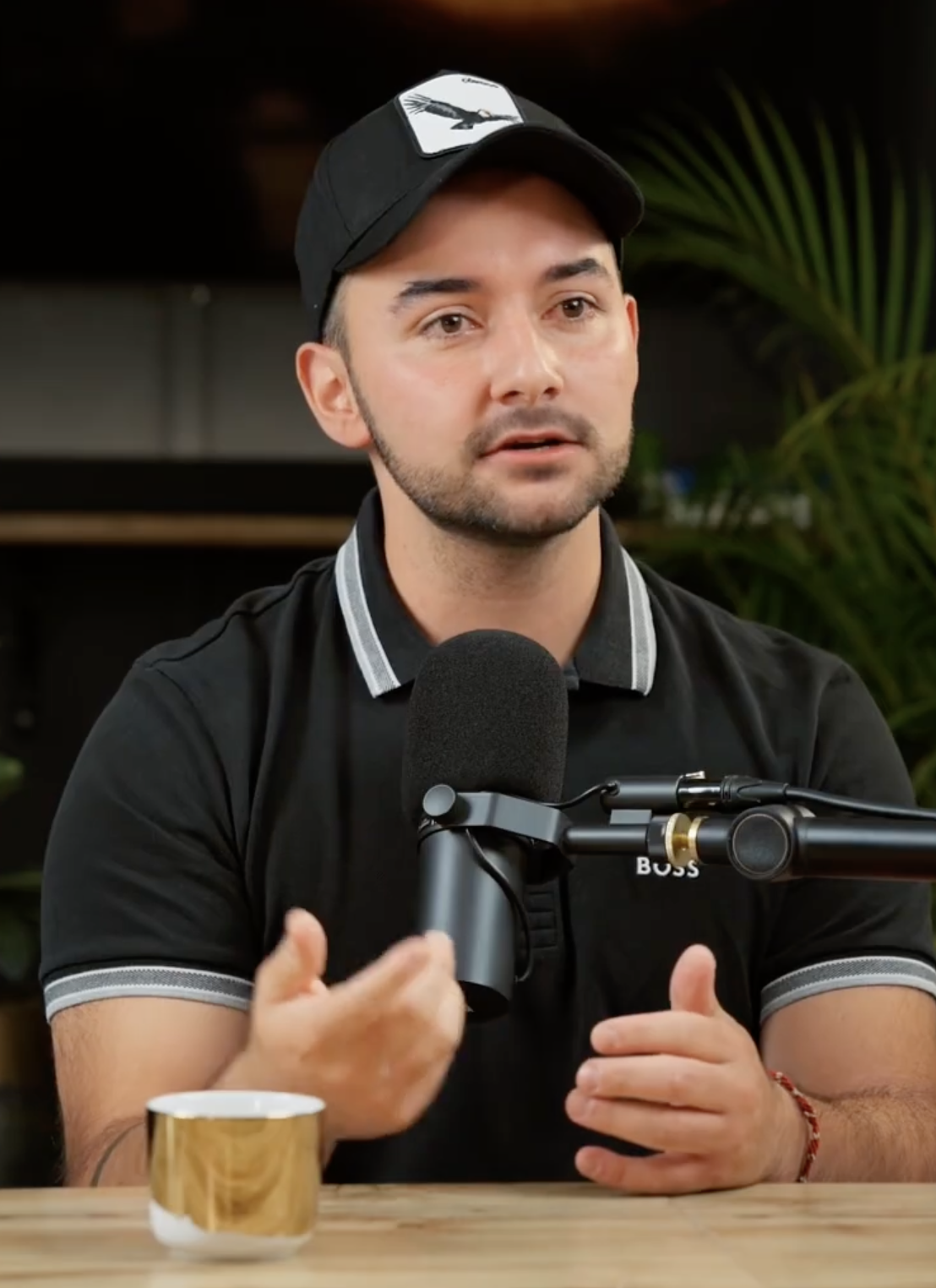 Luigi Veronelli — Fundador de Bionic Group LLC